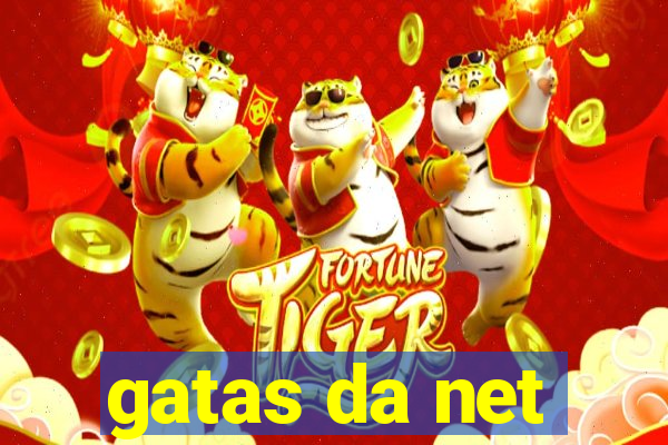 gatas da net